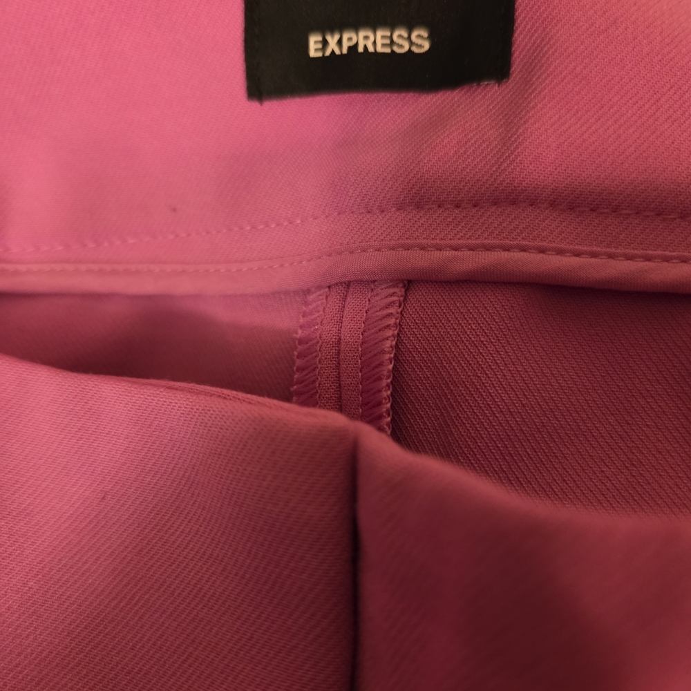 Express Vibrant Pink Pants Size 8R - Picture 4 of 5